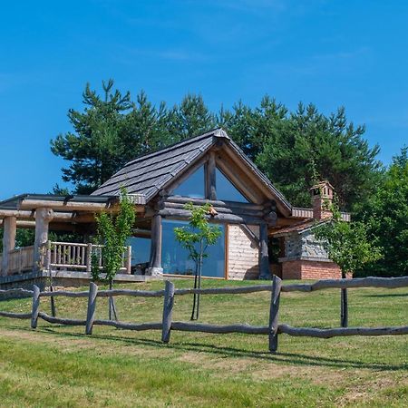 Holiday Home Ernest Zelezni With Hot Tub Ivancna Gorica Ngoại thất bức ảnh